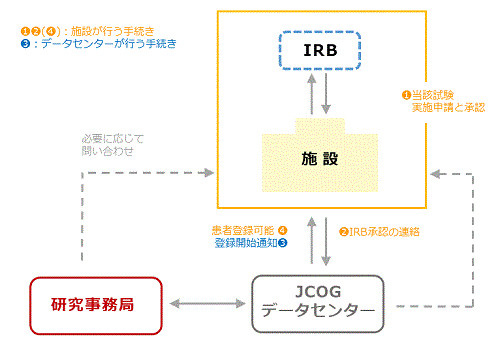 IRB承認と登録開始手続き手順図