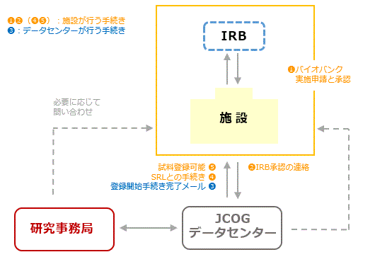 IRB承認と登録開始手続き手順図